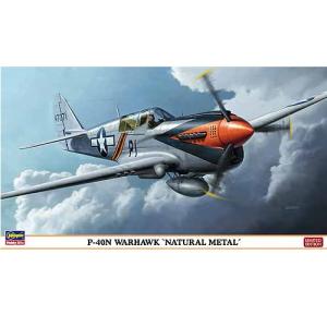 BH09924 1/48 P-40N Warhawk Natural Metal